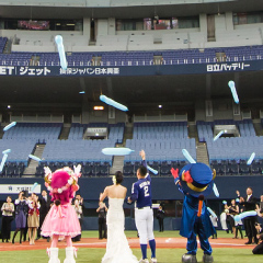 京セラドーム・ホットモット